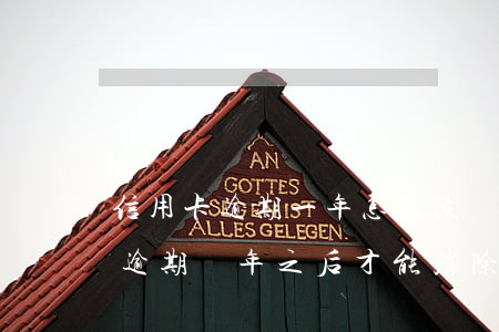 信用卡逾期一年怎么恢復(fù)(信用卡有逾期幾年之后才能消除)