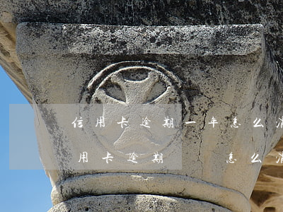 信用卡逾期一年怎么消除記錄(個人征信有信用卡逾期記錄怎么消除)