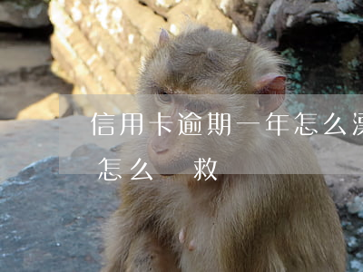 信用卡逾期一年怎么漂白(信用卡逾期一個月怎么補救)
