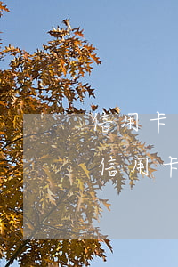 信用卡逾期一年怎么能恢復(fù)正常(有信用卡逾期一年的嗎)