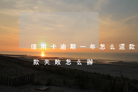 信用卡逾期一年怎么還款(信用卡逾期一年還款失敗怎么辦)