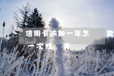 信用卡逾期一年怎樣還款(信用卡逾期大半年一次性還完)