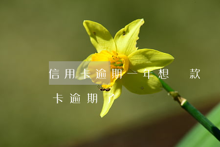 信用卡逾期一年想貸款買房(有房貸但是信用卡逾期了)