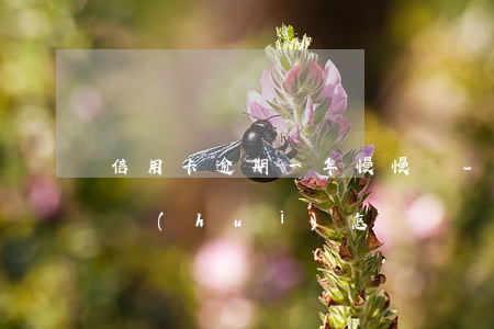 信用卡逾期一年慢慢還-欠信用卡逾期一年會(huì)怎樣