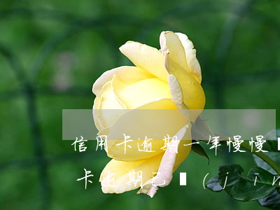 信用卡逾期一年慢慢還清了(2017年信用卡逾期已經(jīng)還清了兩年后)