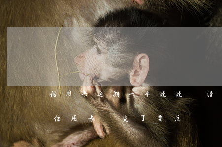 信用卡逾期一年慢慢還清后注銷了-逾期的信用卡還完了要注銷嗎