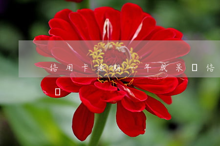 信用卡逾期一年成呆賬(信用卡逾期一年成呆賬)