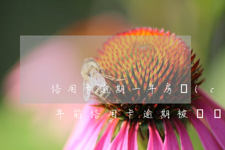 信用卡逾期一年房產(chǎn)抵押-八年前信用卡逾期被凍結(jié),影響房貸嗎