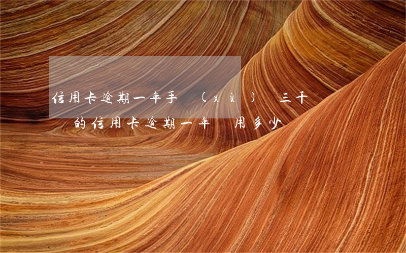 信用卡逾期一年手續(xù)費三千塊錢(兩萬的信用卡逾期一年費用多少)