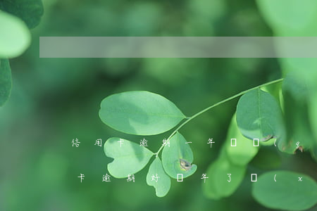 信用卡逾期一年掙錢(qián)還債(信用卡逾期好幾年了,現(xiàn)在想還錢(qián)怎么辦)
