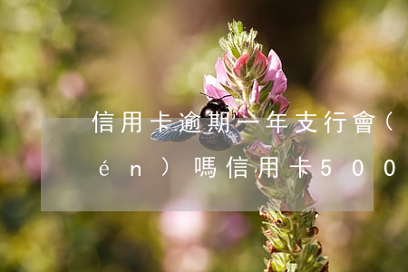 信用卡逾期一年支行會(huì)上門(mén)嗎(信用卡5000逾期會(huì)不會(huì)上門(mén))