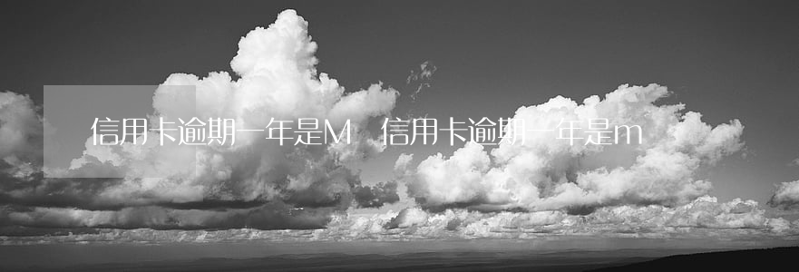信用卡逾期一年是M幾(信用卡逾期一年是m幾)