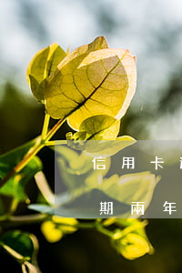 信用卡逾期一年是失信人么(有沒有信用卡逾期兩年的)