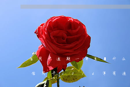 信用卡逾期一年是從什么時(shí)間算 信用卡2016年有逾期五年后是什么時(shí)間
