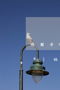 信用卡逾期一年會(huì)有什么責(zé)任-一年內(nèi)信用卡逾期一次有什么影響