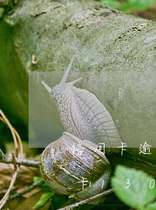 信用卡逾期一年會(huì)被坐牢嗎(信用卡13000,逾期三個(gè)月會(huì)坐牢嗎?)
