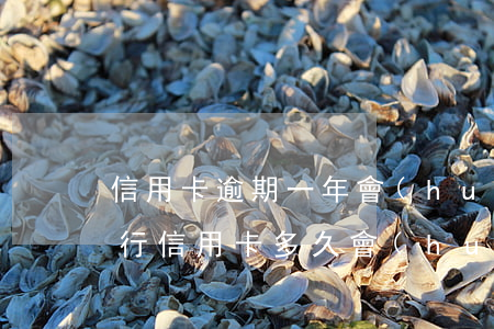 信用卡逾期一年會(huì)被通緝嗎(欠銀行信用卡多久會(huì)被起訴通緝)