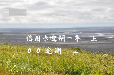 信用卡逾期一年會上門討債嗎(信用卡10000逾期會上門嗎)