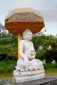 信用卡逾期一年會不會限制出境(2020年信用卡逾期新規(guī)定)