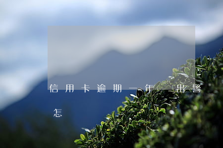 信用卡逾期一年會出警嗎(信用卡逾期1年會怎樣)