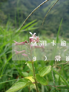 信用卡逾期一年會用手機(信用卡經(jīng)常逾期一天會有影響嗎)
