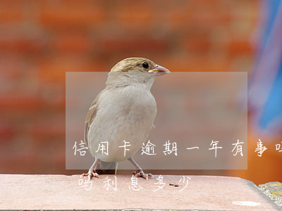 信用卡逾期一年有事吗(信用卡逾期一年有事吗利息多少)