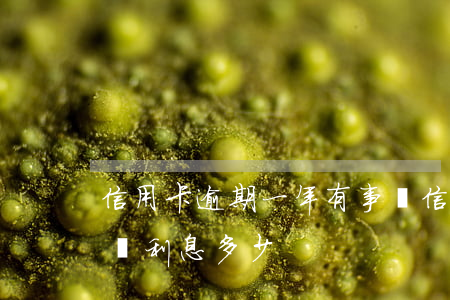 信用卡逾期一年有事嗎(信用卡逾期一年有事嗎利息多少)
