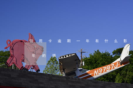 信用卡逾期一年有什么影響(有信用卡逾期一年的嗎)