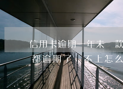 信用卡逾期一年未還款怎么辦 所有的信用卡都逾期了還不上,怎么辦