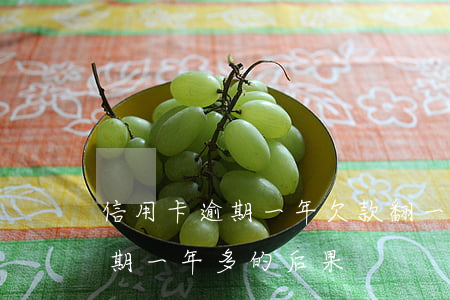 信用卡逾期一年欠款翻一倍(欠信用卡兩萬逾期一年多的后果)