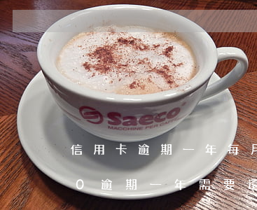 信用卡逾期一年每月還幾百(信用卡20000逾期一年需要還多少)