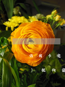 信用卡逾期一年沒(méi)還會(huì)被拘留嗎