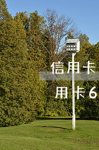 信用卡逾期一年沒(méi)還法院判決(信用卡6萬(wàn)逾期不還判幾年)