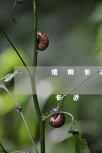 信用卡逾期一年沒有聯(lián)系(信用卡近兩年沒有逾期,五年內(nèi)有逾期)