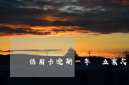 信用卡逾期一年沒立案(欠信用卡逾期一年)
