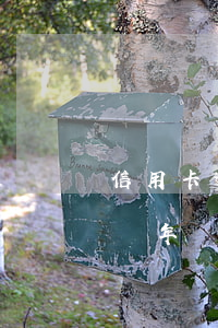 信用卡逾期一年沒還的怎么辦(欠信用卡逾期兩年沒還)