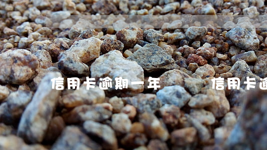 信用卡逾期一年沒錢還 信用卡逾期一年沒錢還
