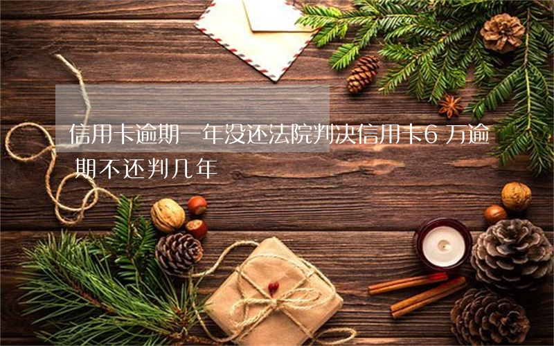 信用卡逾期一年没还法院判决(信用卡6万逾期不还判几年)