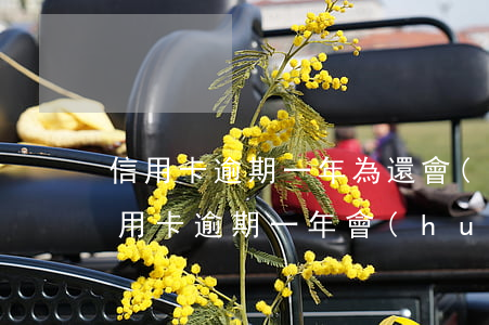 信用卡逾期一年為還會(huì)怎樣(欠信用卡逾期一年會(huì)怎樣)