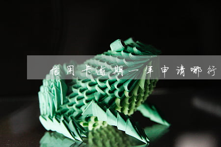 信用卡逾期一年申请哪行(信用卡逾期一年)