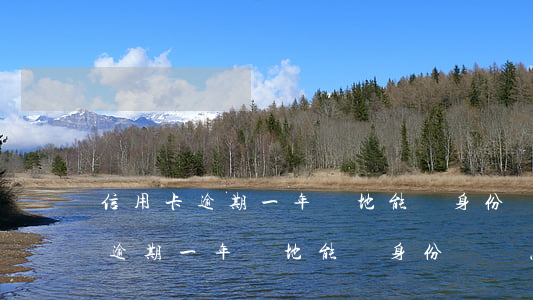 信用卡逾期一年異地能辦身份證嗎-信用卡逾期一年異地能辦身份證嗎怎么辦