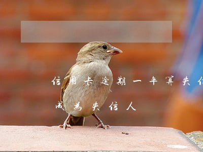 信用卡逾期一年算失信人吗(逾期多长时间会成为失信人)