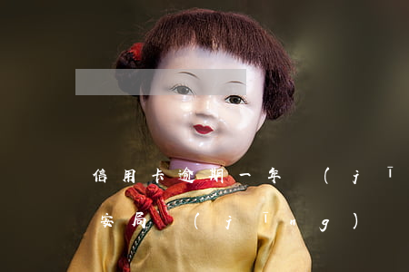 信用卡逾期一年經(jīng)偵抓人了(公安局經(jīng)偵大隊負責(zé)信用卡逾期嗎)