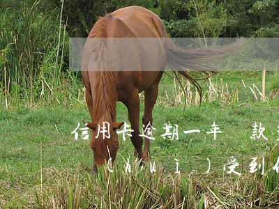 信用卡逾期一年罰款多少(信用卡逾期一年半會(huì)受到什么懲罰)