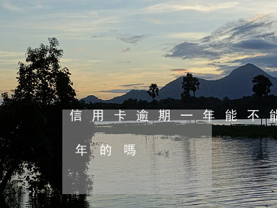 信用卡逾期一年能不能公證(有信用卡逾期一年的嗎)