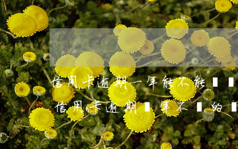 信用卡逾期一年能不能繼續(xù)還款(有信用卡逾期幾年不還的嗎)