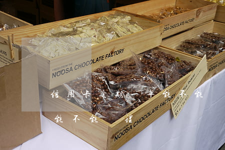 信用卡逾期一年能不能辦理(信用卡逾期一年能不能辦理)