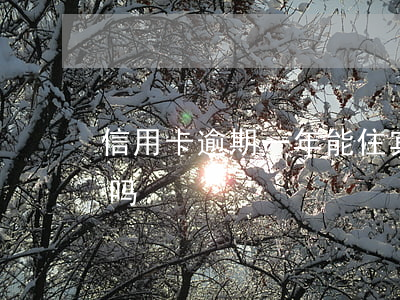 信用卡逾期一年能住宾馆吗(逾期可以住宾馆吗)