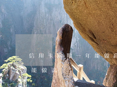 信用卡逾期一年能做高鐵嗎(信用卡逾期一年能做高鐵嗎)