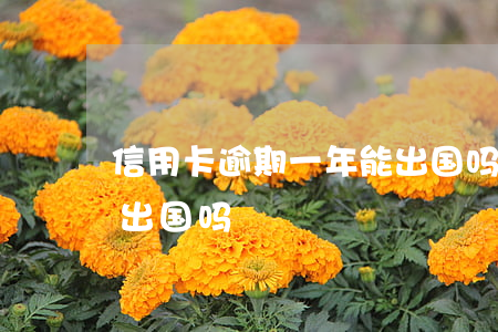信用卡逾期一年能出国吗(信用卡逾期一年能出国吗)